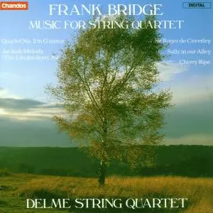 Music For String Quartet