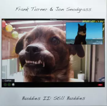 Buddies II: Still Buddies