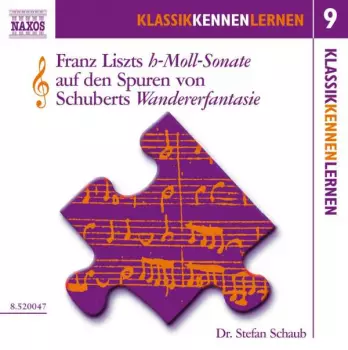 Franz Schubert: Die H-Moll-Sonate Von Liszt Auf Den Spuren Von Schuberts Wandererfantasie