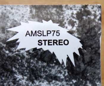 LP Free Action Inc.: Rock & Blues