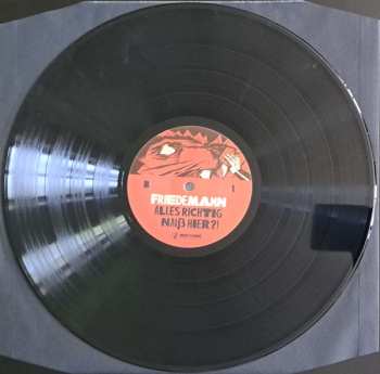 3LP Friedemann Hinz: Alles Richtig Naiß Hier!? LTD