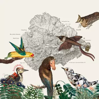 Birds Of Marsville
