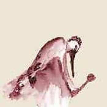 Album From Quagmire: Habitats In The Wound