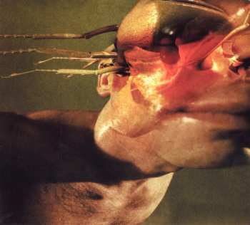 CD Front Line Assembly: Implode