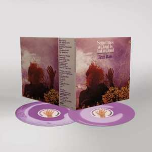 2LP Fruit Bats: Sometimes A Cloud Is Just A Cloud: Slow Growers, Sleeper Hits, And Lost Songs (2001-2021) CLR | DLX