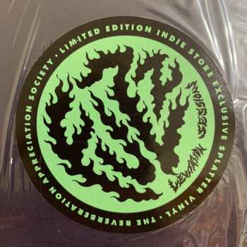 LP Fuzz: Levitation Sessions LTD | CLR