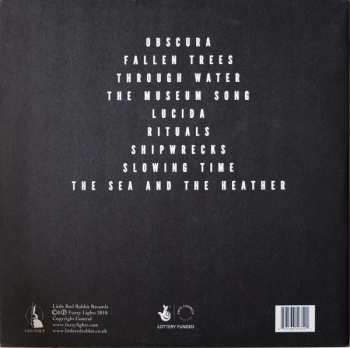 2LP Fuzzy Lights: Twin Feathers