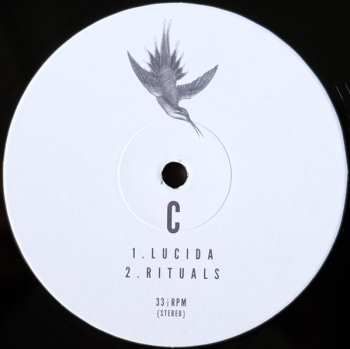 2LP Fuzzy Lights: Twin Feathers
