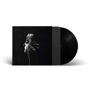 LP FVNERALS: The Light