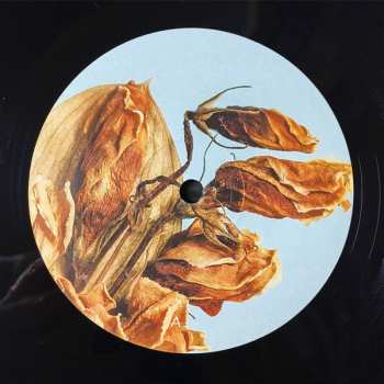 LP Fyfe: The Space Between