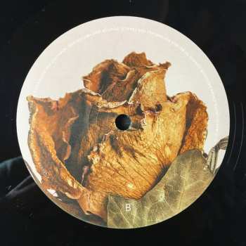 LP Fyfe: The Space Between