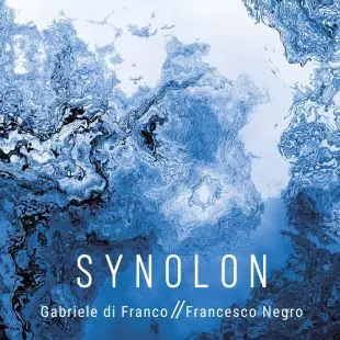 Gabriele Di Franco: Synolon