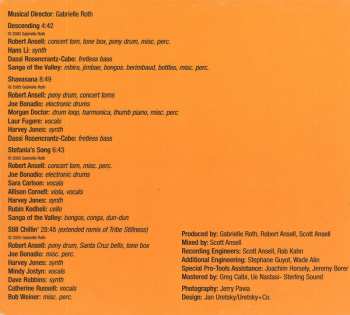 CD Gabrielle Roth & The Mirrors: Still Chillin' DIGI