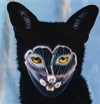 2LP Galantis: Pharmacy LTD | CLR
