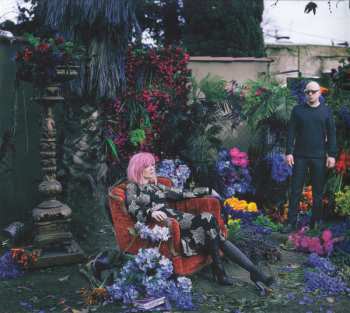 CD Garbage: Strange Little Birds