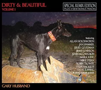 Gary Husband: Dirty & Beautiful (Volume 1)