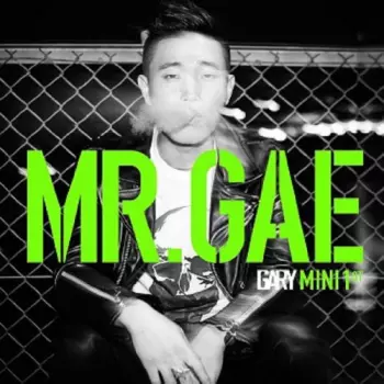 개리: Mr. Gae