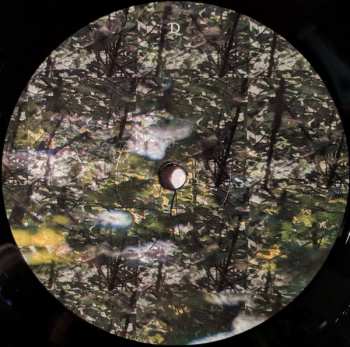 2LP GÅS: Rausch