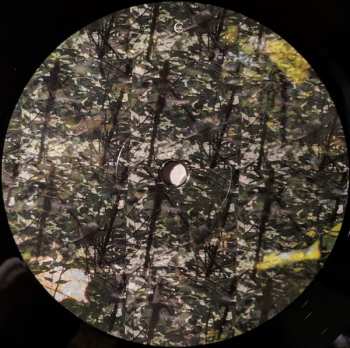2LP GÅS: Rausch