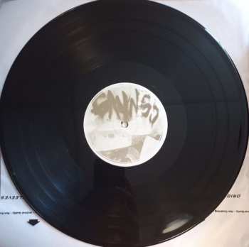 2LP Gayngs: Relayted