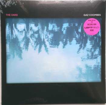 Album Gaz Coombes: The Oaks