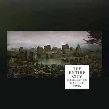 The Entire City