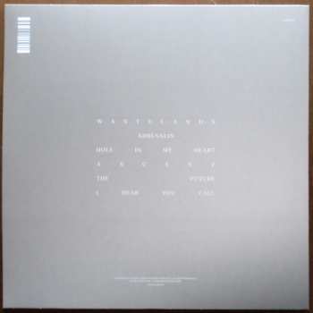 LP Gazelle Twin: The Wastelands CLR