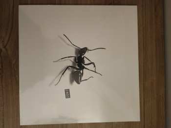 Album Gazzelle: INDI