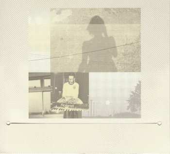 CD Gemma Hayes: The Hollow Of Morning