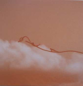 CD Geneva Skeen: Double Bind LTD