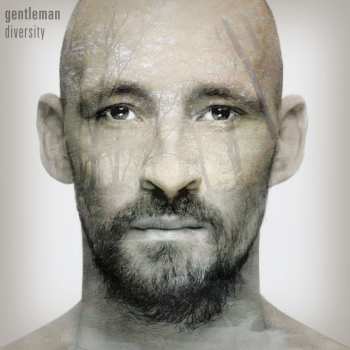 2LP Gentleman: Diversity CLR | LTD