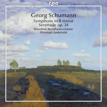 Symphonie H-moll "preis-symphonie"