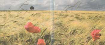CD George Winston: Restless Wind DIGI