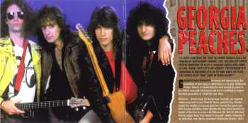 CD The Georgia Satellites: Georgia Satellites