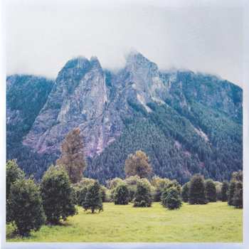 2LP Gidge: New Light