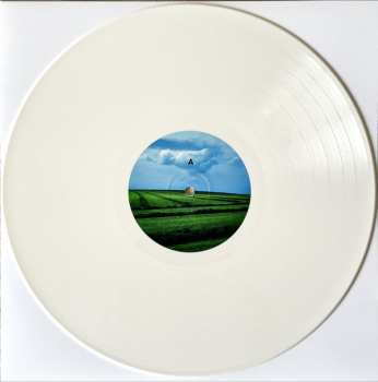 LP Girls In Hawaii: From Here To There LTD | CLR