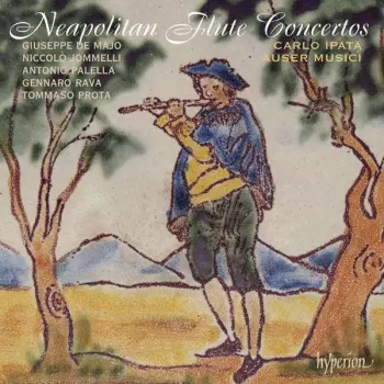 Neapolitan Flute Concertos