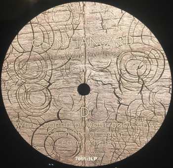 2LP Glen Hansard: This Wild Willing