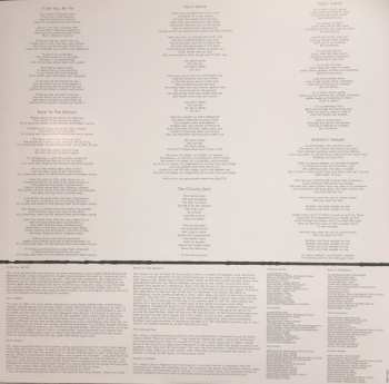 2LP Glen Hansard: This Wild Willing
