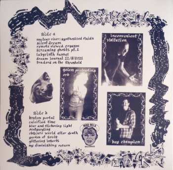 LP Glittering Insects: Glittering Insects