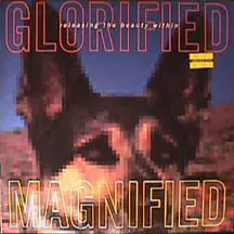 Glorified Magnified: Releasing The Beauty Within
