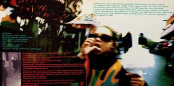 CD Gnome: Fiberglass