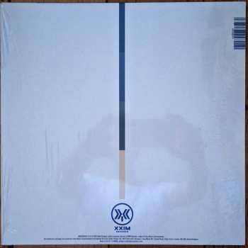 2LP GoGo Penguin: Necessary Fictions