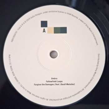 2LP GoGo Penguin: Necessary Fictions