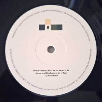 2LP GoGo Penguin: Necessary Fictions