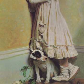 Album Various: Going Back To Sleep