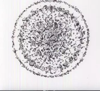 Golden Retriever: Occupied With The Unspoken