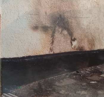 CD Goldie Lookin Chain: Greatest Hits