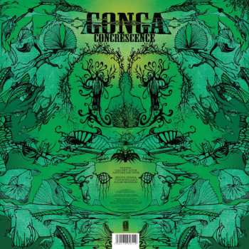 LP Gonga: Concrescence