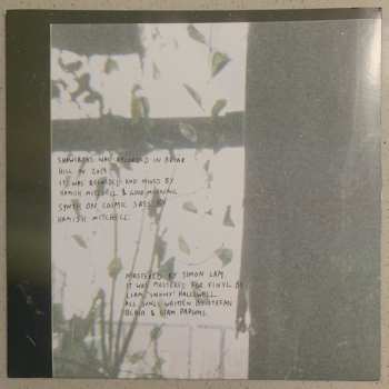 LP Good Morning: Shawcross CLR